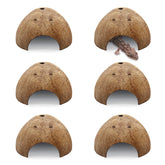 PINVNBY coconut hideout with two entrances gives secure resting and easy access for active reptiles.