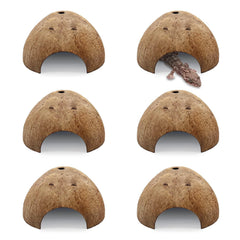 PINVNBY coconut hideout with two entrances gives secure resting and easy access for active reptiles.