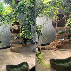 PINVNBY gecko coconut hut ladder closeup highlights play-ready climbing.