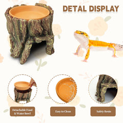 PINVNBY natural tree-hole hide blends with terrarium décor for safe reptile housing.