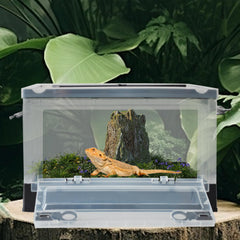 PINVNBY plastic reptile feeding box transparent side for clear pet viewing during transport