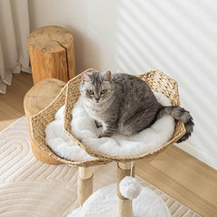 PISARRY wooden cat tree with sisal posts promotes scratching and exercise