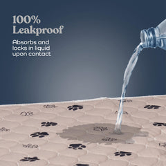 Pitpet flash-dry technology in action reducing moisture and odors.