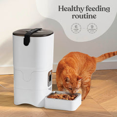 Pitpet smart automatic cat feeder desiccant bag keeps kibble fresh.
