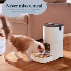 Pitpet smart automatic cat feeder LCD display enables simple scheduling.