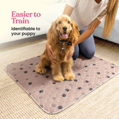 Pitpet super absorbent pad closeup highlights absorbent core for moisture lock