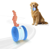 PJC Interactive Dog Toy rolling ball demonstrates unpredictable movement to spark curiosity