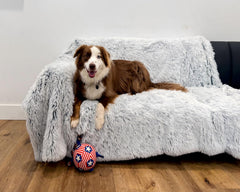 pjyucien easy-care machine washable blanket stays fluffy after wash
