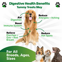 Planopaws dog probiotic supplement ingredients showcase prebiotics and enzymes for gut balance.