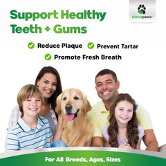 planopaws dog teeth cleaning powder sprinkled on kibble supports daily dental care