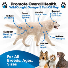 Plano Paws Omega-3 dogs bottle pour demonstrates easy dosing on daily meals.