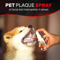 Plaque Attack bottle closeup shows peppermint spray and clear labeling for safe use