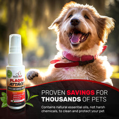Plaque Attack pet dental spray in use to freshen breath during routine