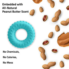Playology dog chew toy outdoors—durable for indoor and outdoor play.