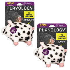Playology dog toy 2-pack plush pig squeaky for interactive play and snuggles