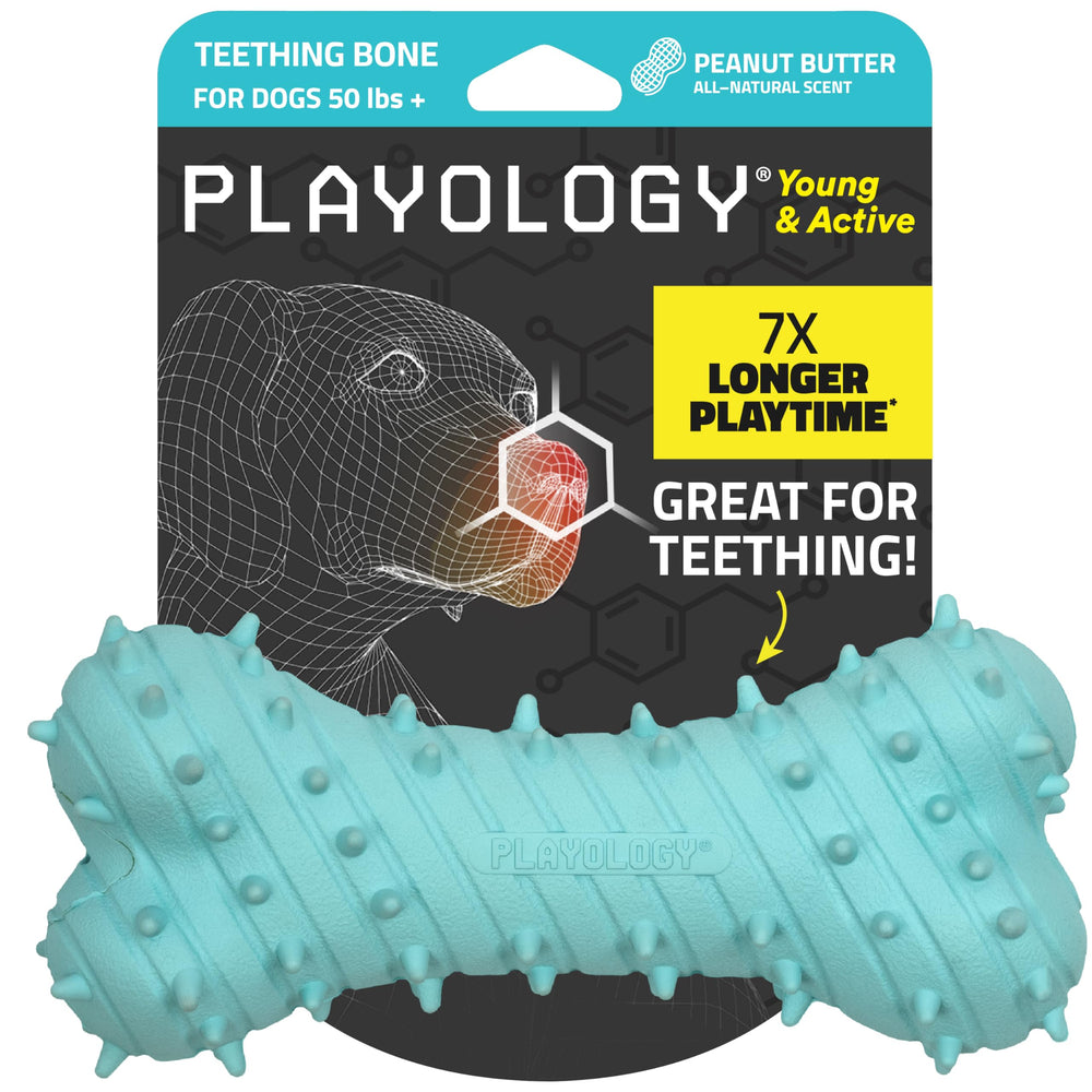 Playology dog toy teething bone with jumbo peanut butter scent aids puppy teething and scent engagement.