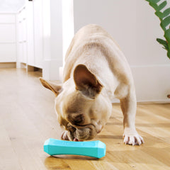Playology water-fetch floating dog toy enables pool play without splinters.