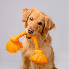 Playology Dri-Tech rope toy being washed to show machine washable convenience