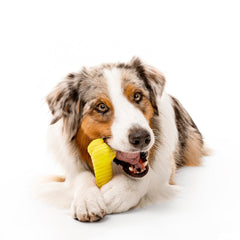 Playology Dual Layer Bone chicken scent close-up demonstrates long-lasting aroma
