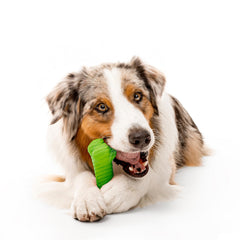 Playology dual layer bone for large dogs—designed for 50 lbs+ breeds.