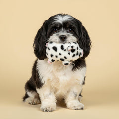 Playology easy-clean dog toy designed to be washed for quick refreshment