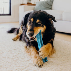 Playology dog toy is easy to clean with warm water.
