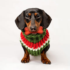 Playology Encapsiscent Grandma's Gravy scent engages dogs during play.