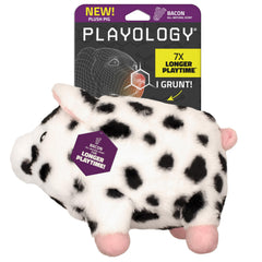 Playology cerdo peluche con sonido, ideal para juego interactivo
