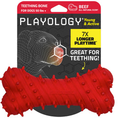 Playology Puppy Teething Bone front view for jumbo size and strong chewers.