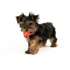 Playology Squeaky Chew Ball durable non-toxic rubber for indoor and outdoor fun.
