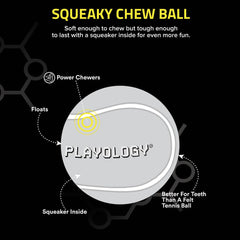 Playology Squeaky Chew Ball two-pack display for value and rotation