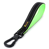 PLUTUS PET 10 inch leash with locking carabiner for secure dog handling in crowded spaces
