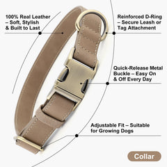 Plutus Pet adjustable leather collar for small dogs shows a snug, flexible fit.