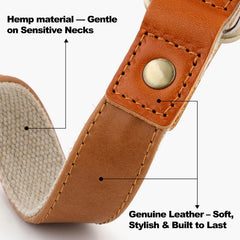 Plutus Pet adjustable quick-release collar demonstrates secure fit during walks.
