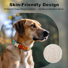 Plutus Pet adjustable slider ensures a secure, growing fit.