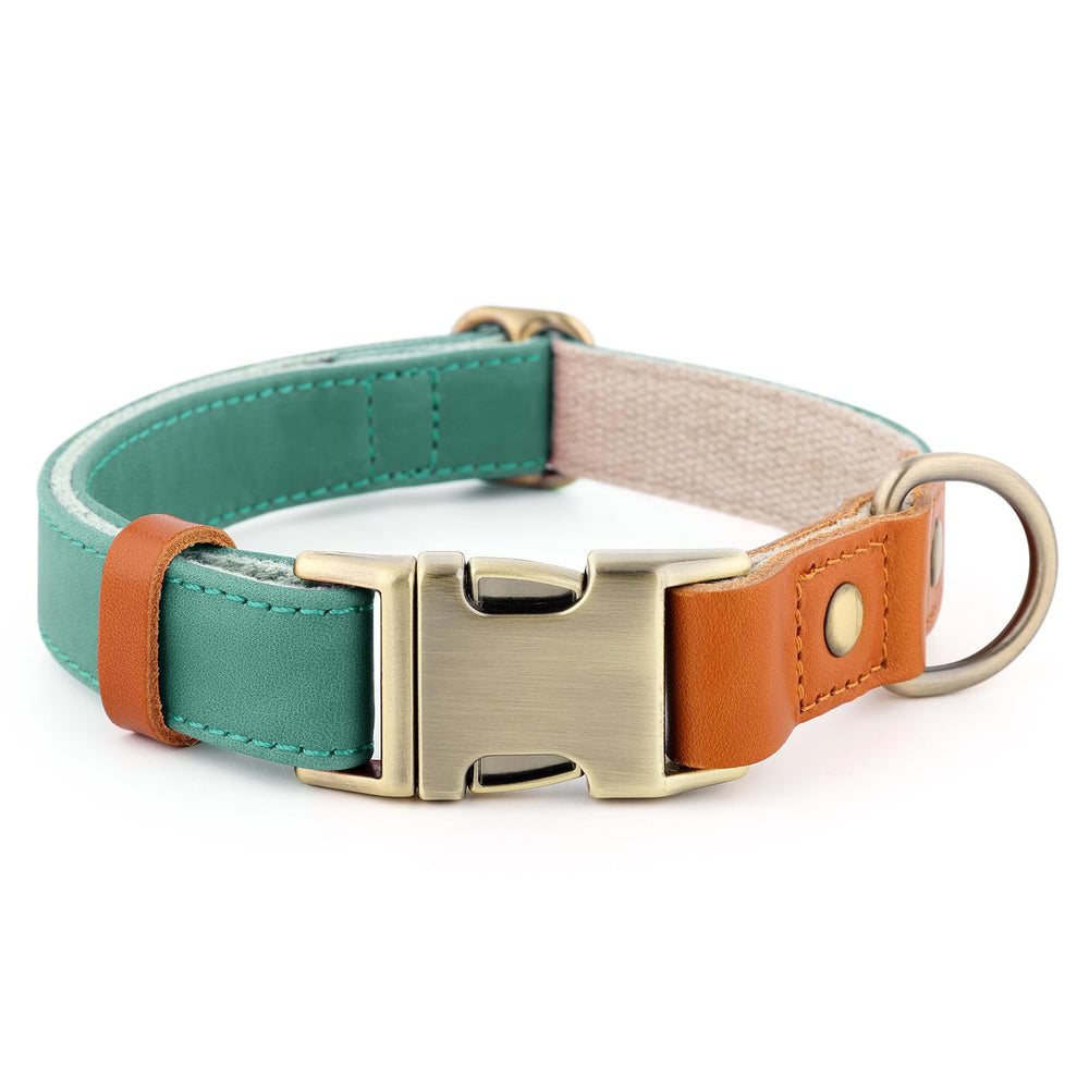 Plutus Pet collar front view green S highlights breathable leather-hemp blend for daily walks