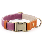 Plutus Pet collar leather hemp purple XS front view—soft, durable everyday wear.