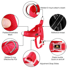 Plutus Pet No Pull Harness demonstrates chest D-ring pull-control for training.