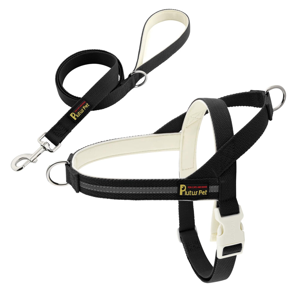 Plutus Pet harness on dog demonstrates quick-fit ease and comfort.
