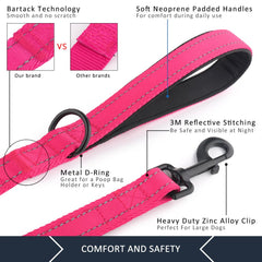 Plutus Pet heavy-duty clasp closeup demonstrates rugged durability.