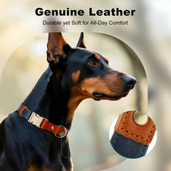 Plutus Pet heavy-duty hardware collar withstands active outdoor adventures