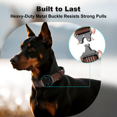 Plutus Pet metal buckle ensures a strong, secure fit on active dogs.