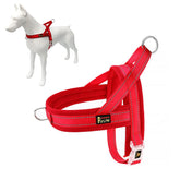 Plutus Pet No Pull Harness with breathable mesh padding for comfortable outdoor walks.