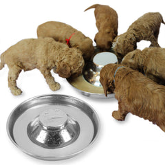 Podinor 2-pack bowls, front view, durable stainless steel feeding set for puppies.