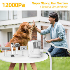 Poit dog grooming vacuum with attachments kit ready for all-in-one care.