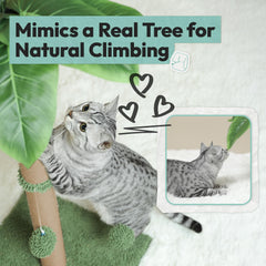 Pomesea natural jute texture promotes satisfying scratching sessions for cats.