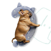 POMESEA Glow-blue closeup shows soft plush texture for cozy canine comfort.