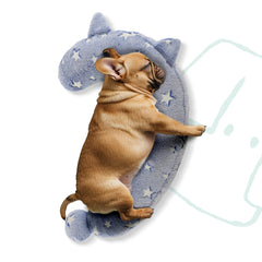 POMESEA Glow-blue closeup shows soft plush texture for cozy canine comfort.