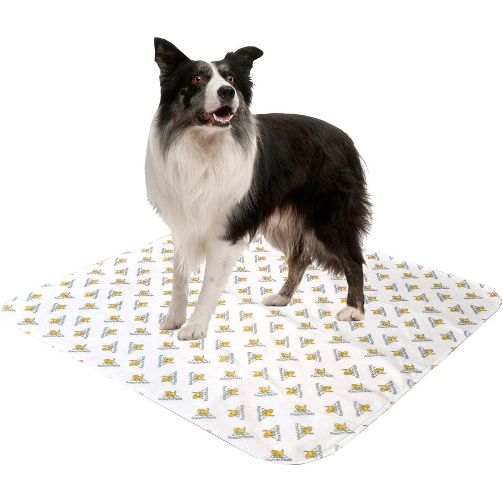 PoochPad Original washable potty pad large 2-pack overview highlights reusable convenience and size.