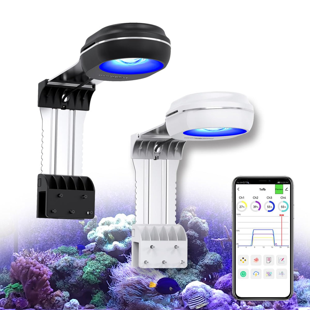 PopBloom RL60 full-spectrum reef light demonstrates broad spectrum support for coral growth and color.